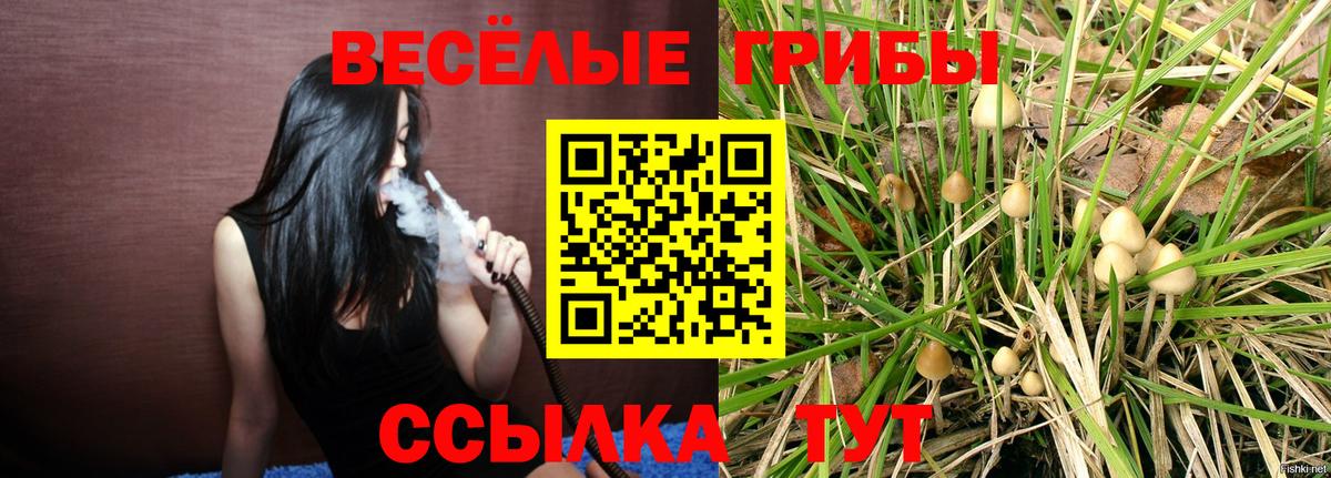 Псилоцибиновые грибы прущие грибы Электросталь