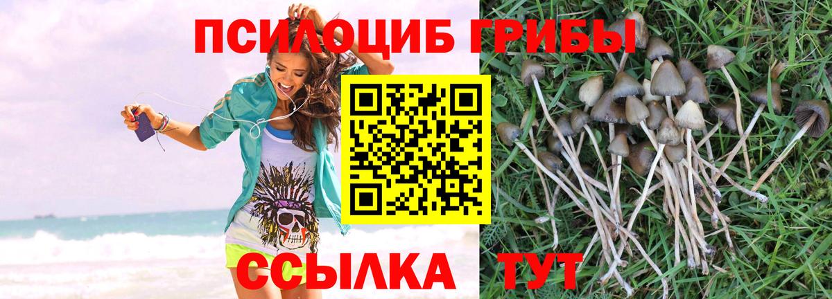 Псилоцибиновые грибы GOLDEN TEACHER  Вход с VPN  Электросталь 